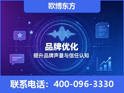 大同-品牌数字认知资产